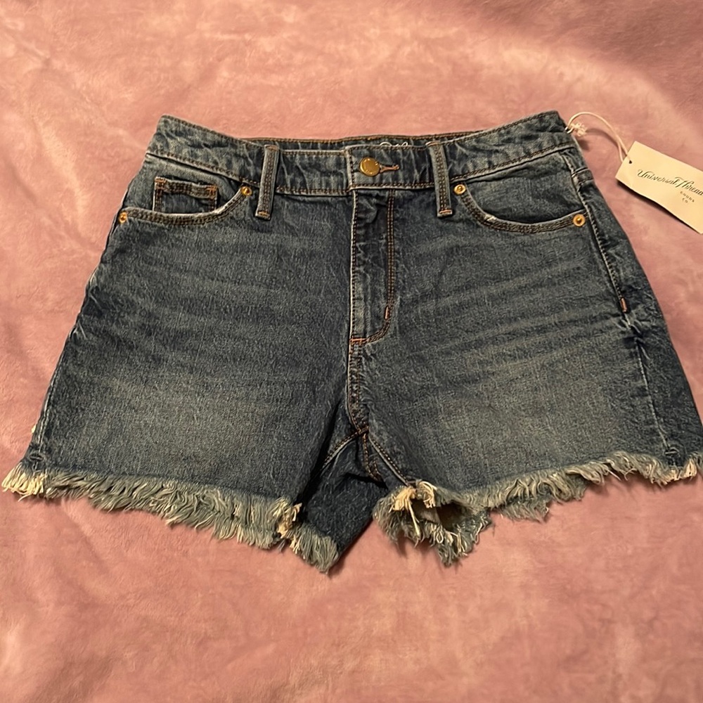 Universal Thread Blue Shorts